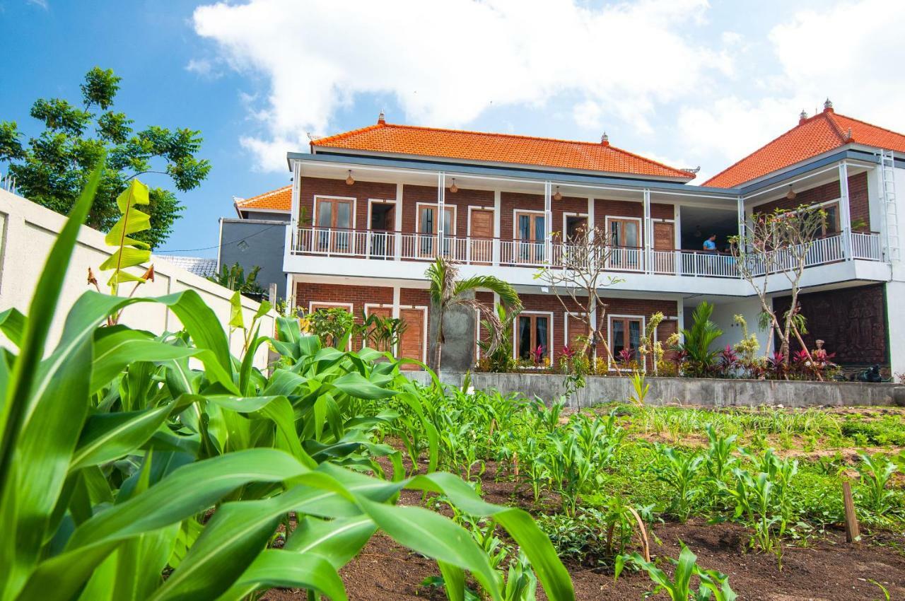 Bali Manik Guest House Canggu Екстер'єр фото
